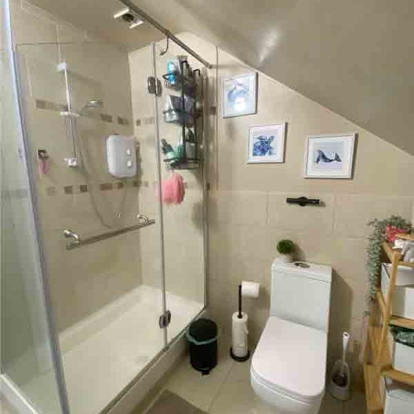 Full ensuite bathroom renovation in Dublin Lusk for Kiera 16