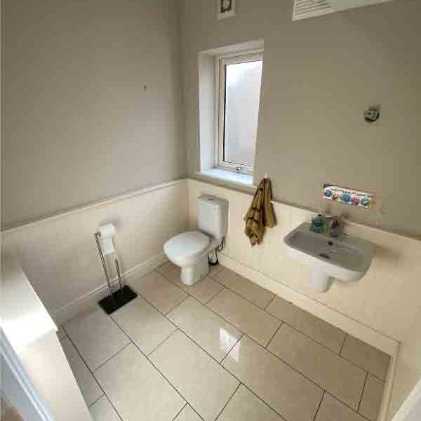 downstairs bathroom WC renovation for suzy in portmarnock 131